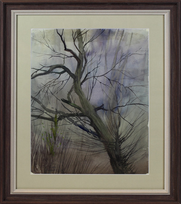 Андрияка Сергей Николаевич. Ненастная весна